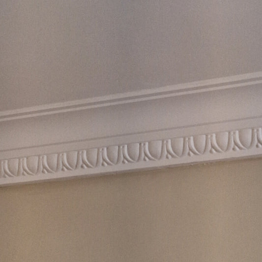 aspect of egg and dart victorian plaster cornice