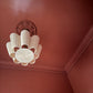 Ornate Medium Plaster Ceiling Rose in Colour Drenched Interior