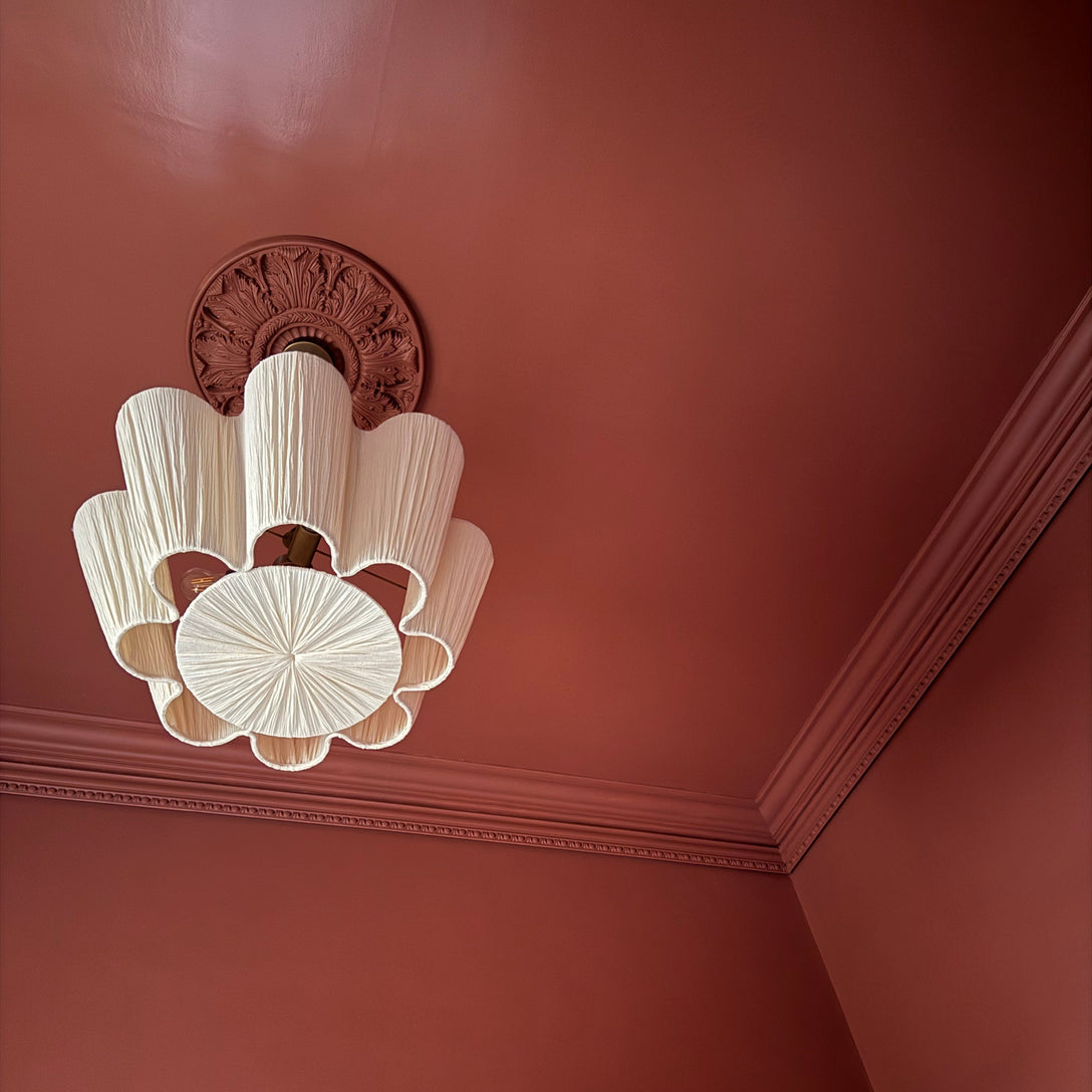 Ornate Medium Plaster Ceiling Rose in Colour Drenched Interior
