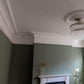 Victorian Plain Cornice Cheltenham 145MM MPC078