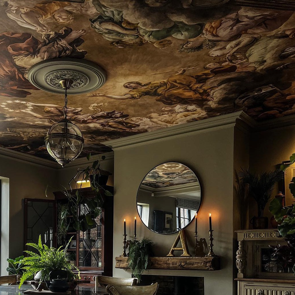 Plaster Ceiling Rose Plain Acanthus in period main room