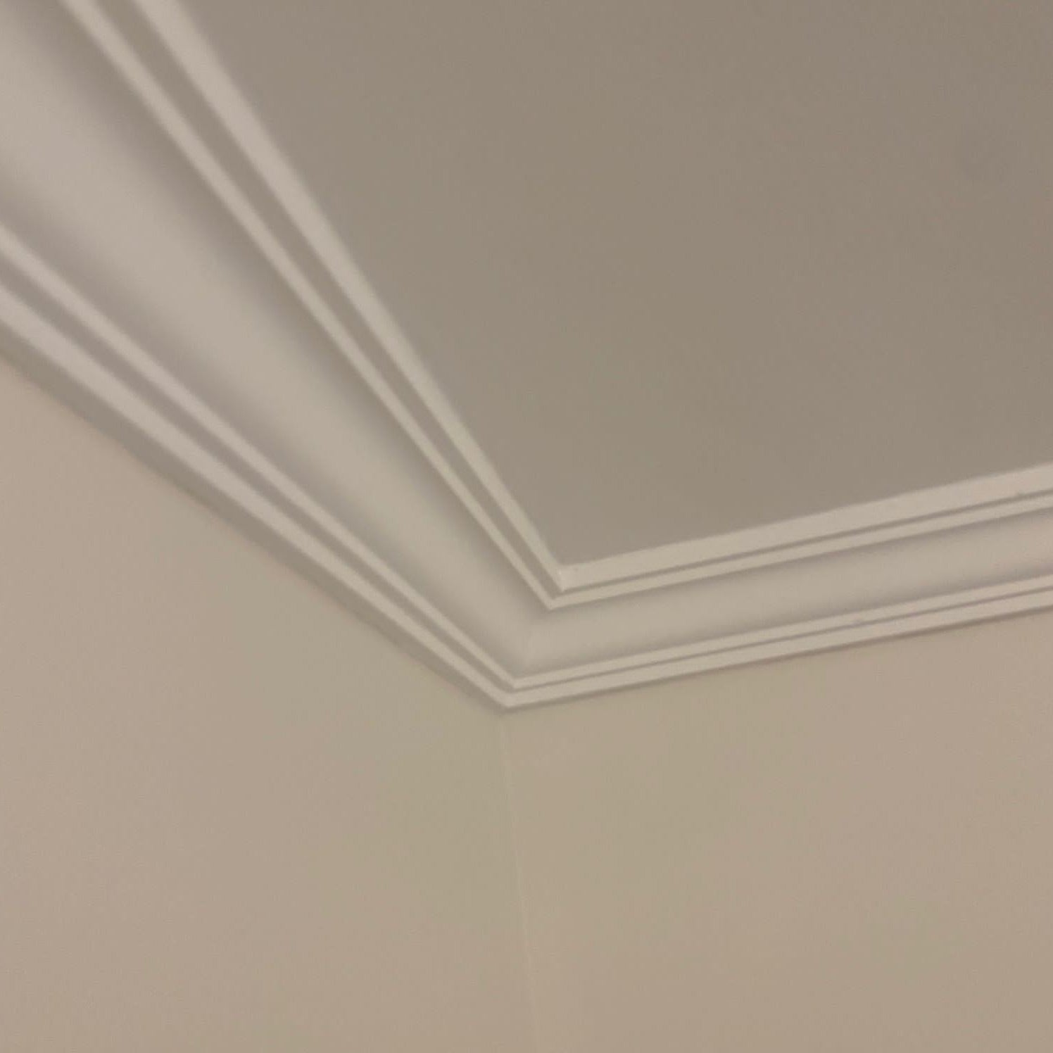 corner section of plaster ceiling cornice