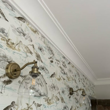 classic plaster coving shown on wallpaper 