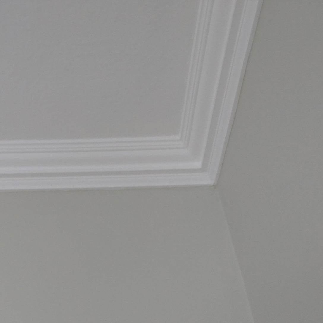 corner section of victorian plaster coving