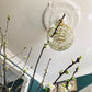 French Style Plaster Ceiling Rose in well-lit room