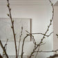 Egg & Dart coving in large, furnished room