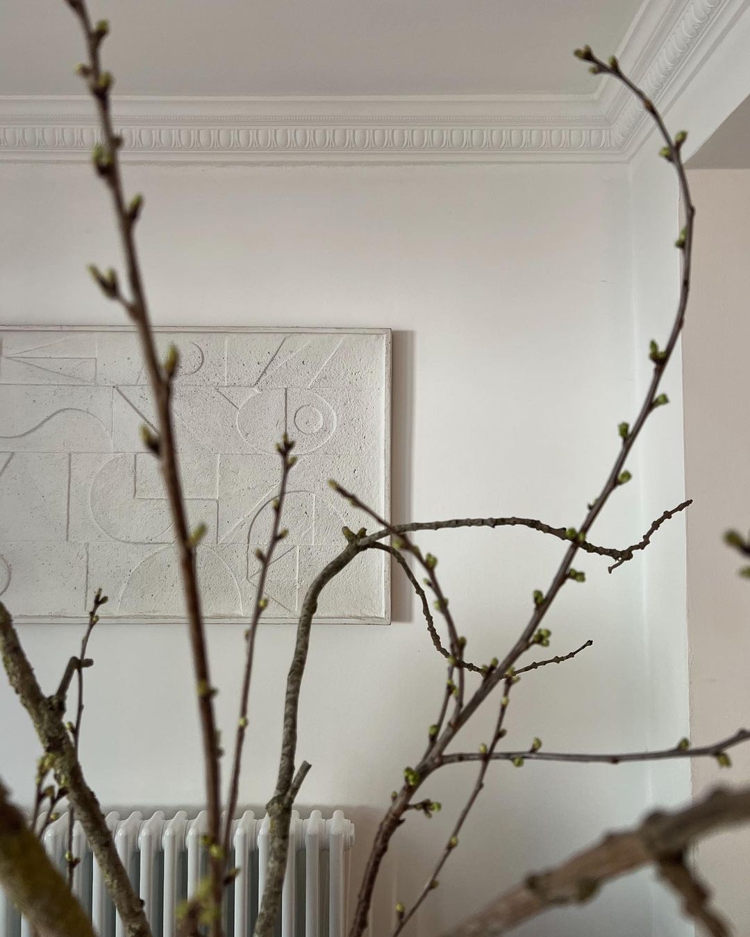 Egg & Dart coving in large, furnished room