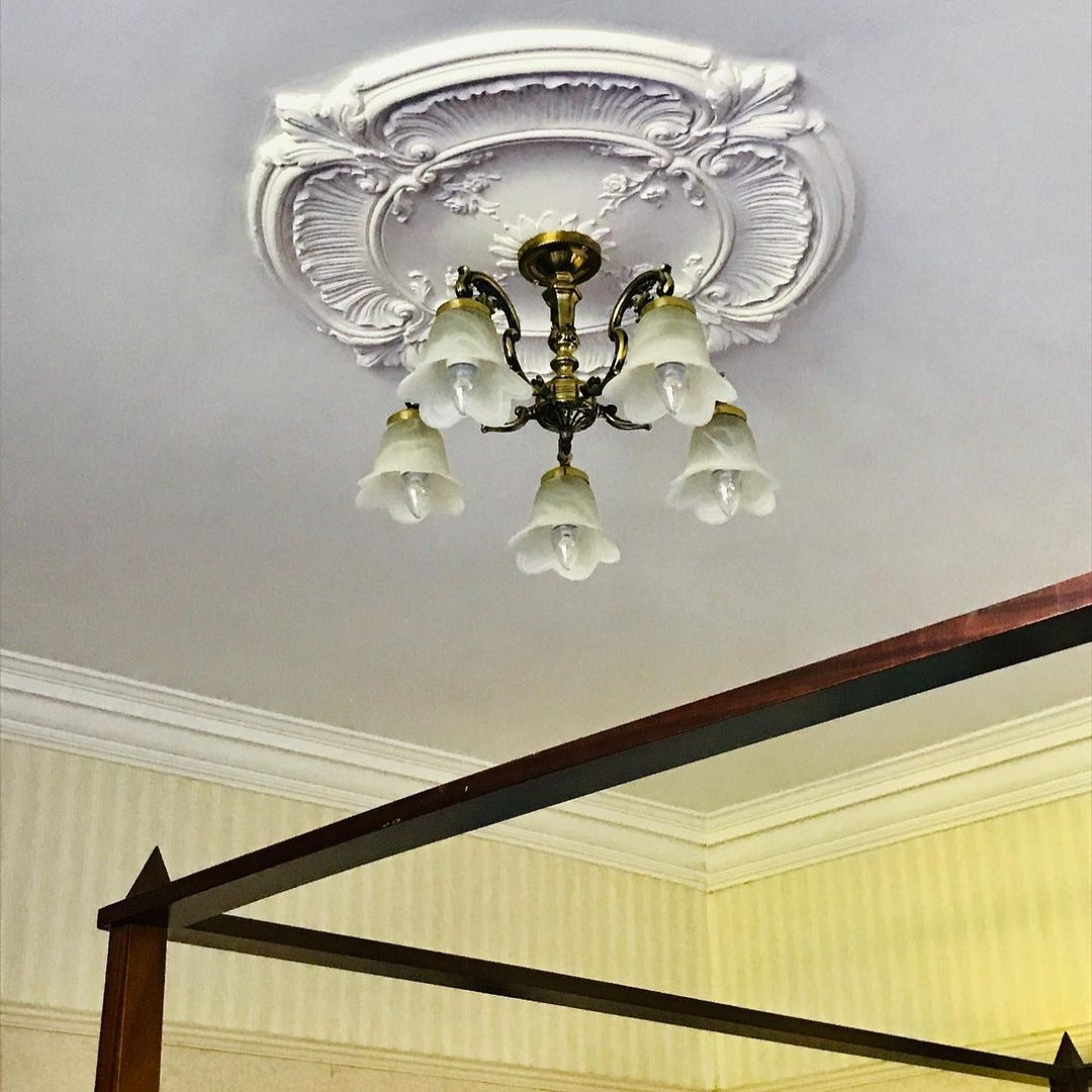 French Style Plaster Ceiling Rose in well-lit bedroom