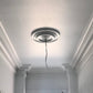 Medium Sized Ceiling Rose in white hallway