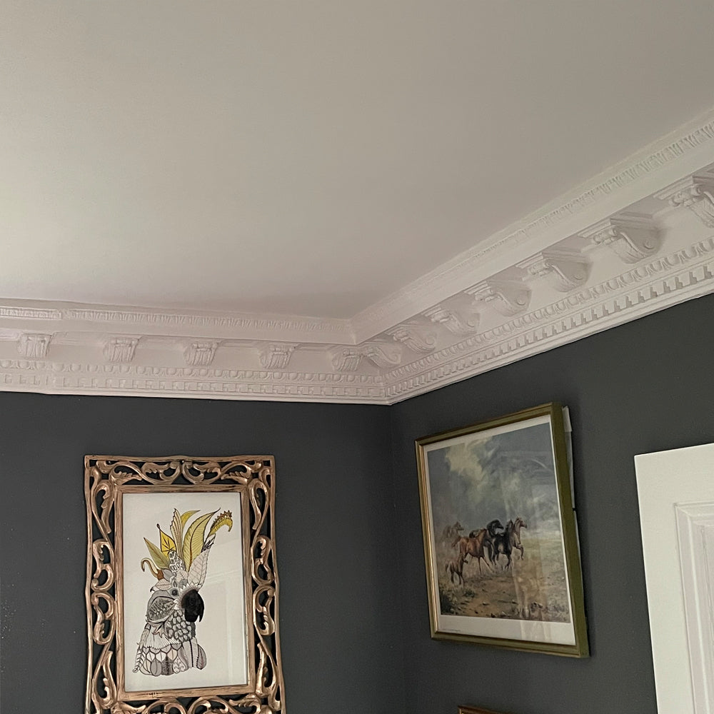 aspect of Victorian coving with modulations