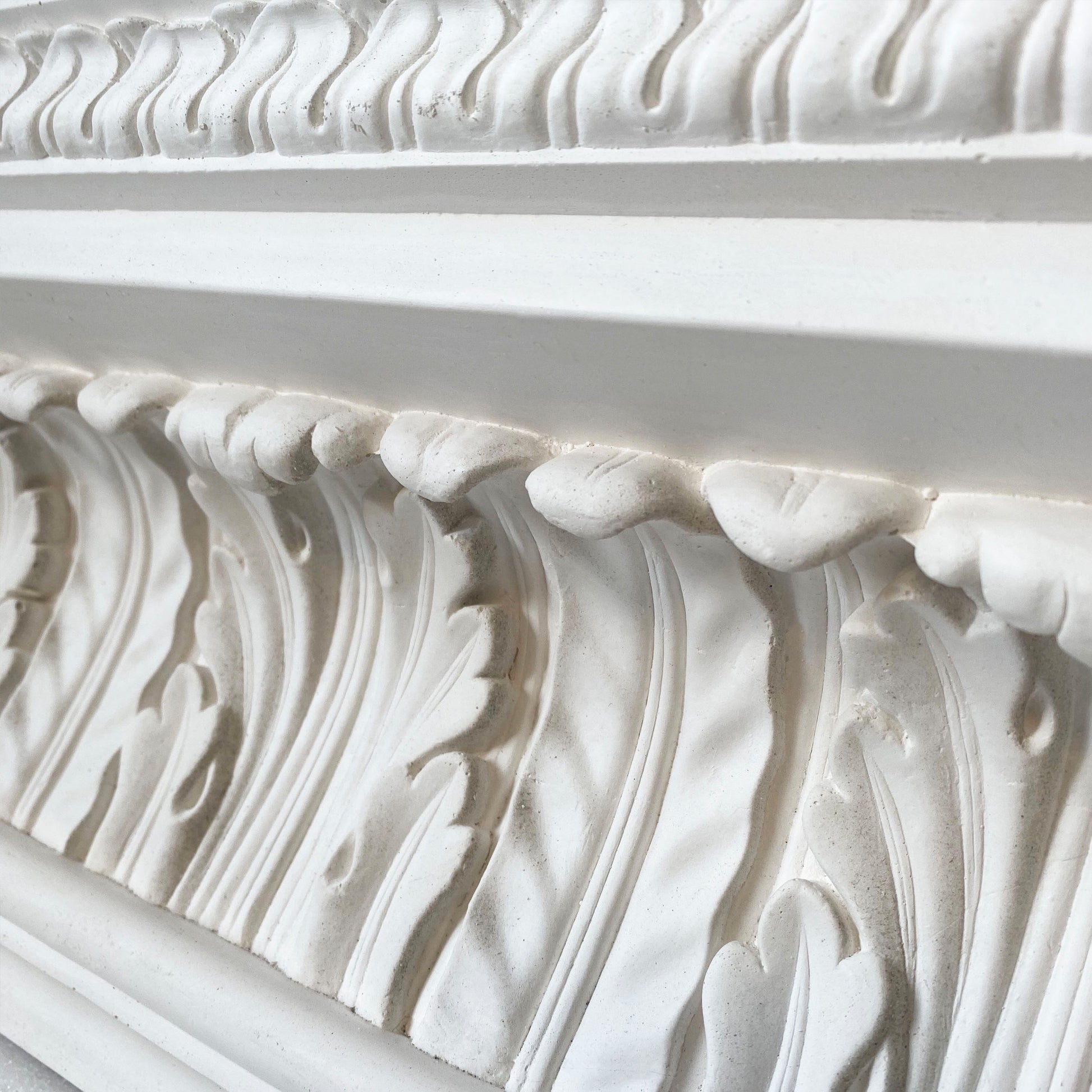 close up image of acanthus victorian plaster coving
