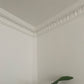 image of corner section of acanthus plaster coving