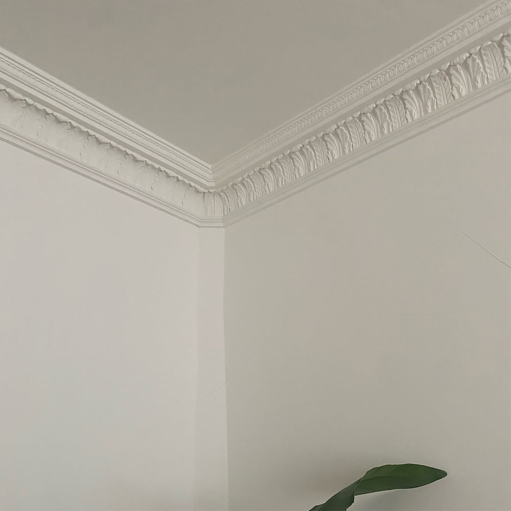 image of corner section of acanthus plaster coving