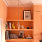 photo of Swan Neck Plaster Coving fitted in bright room over shelving 125mm 