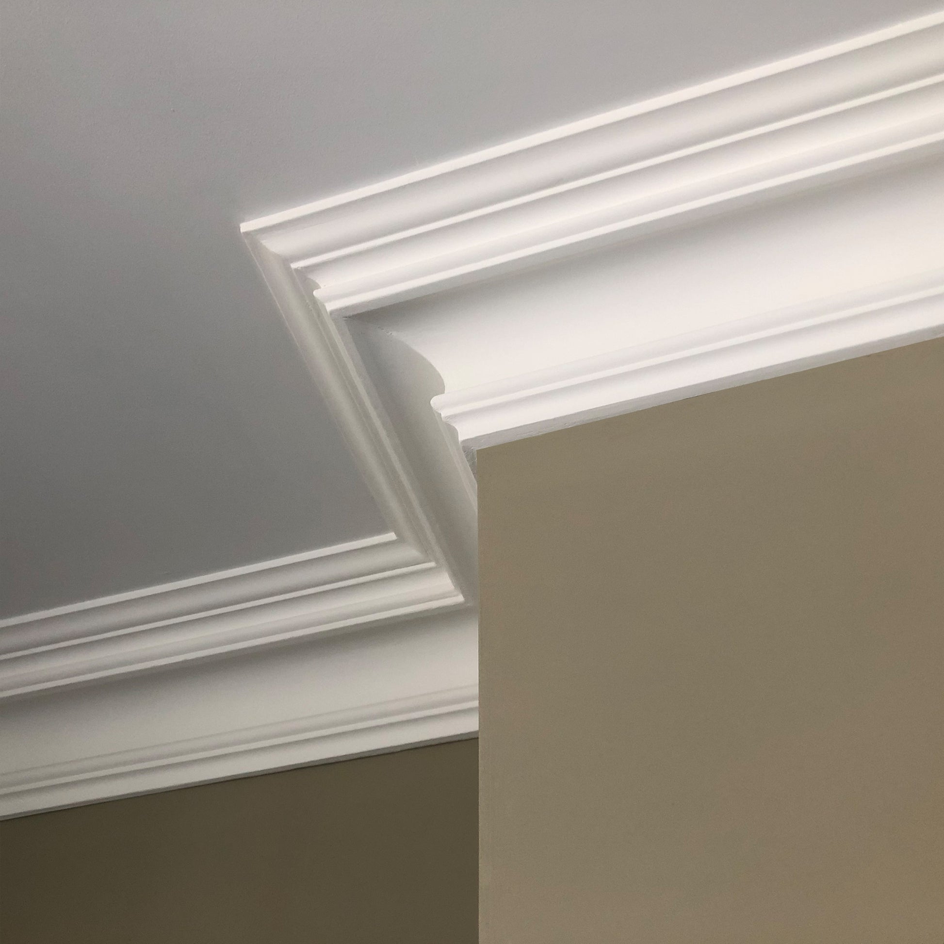 detailed image showing Swan Neck Plaster Coving details 125mm 