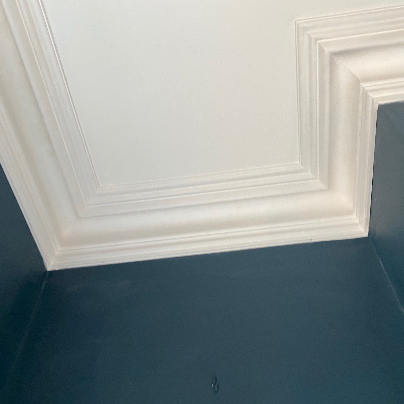 detailed photo of Traditional Victorian london Plaster Coving shown in blue room150MM 