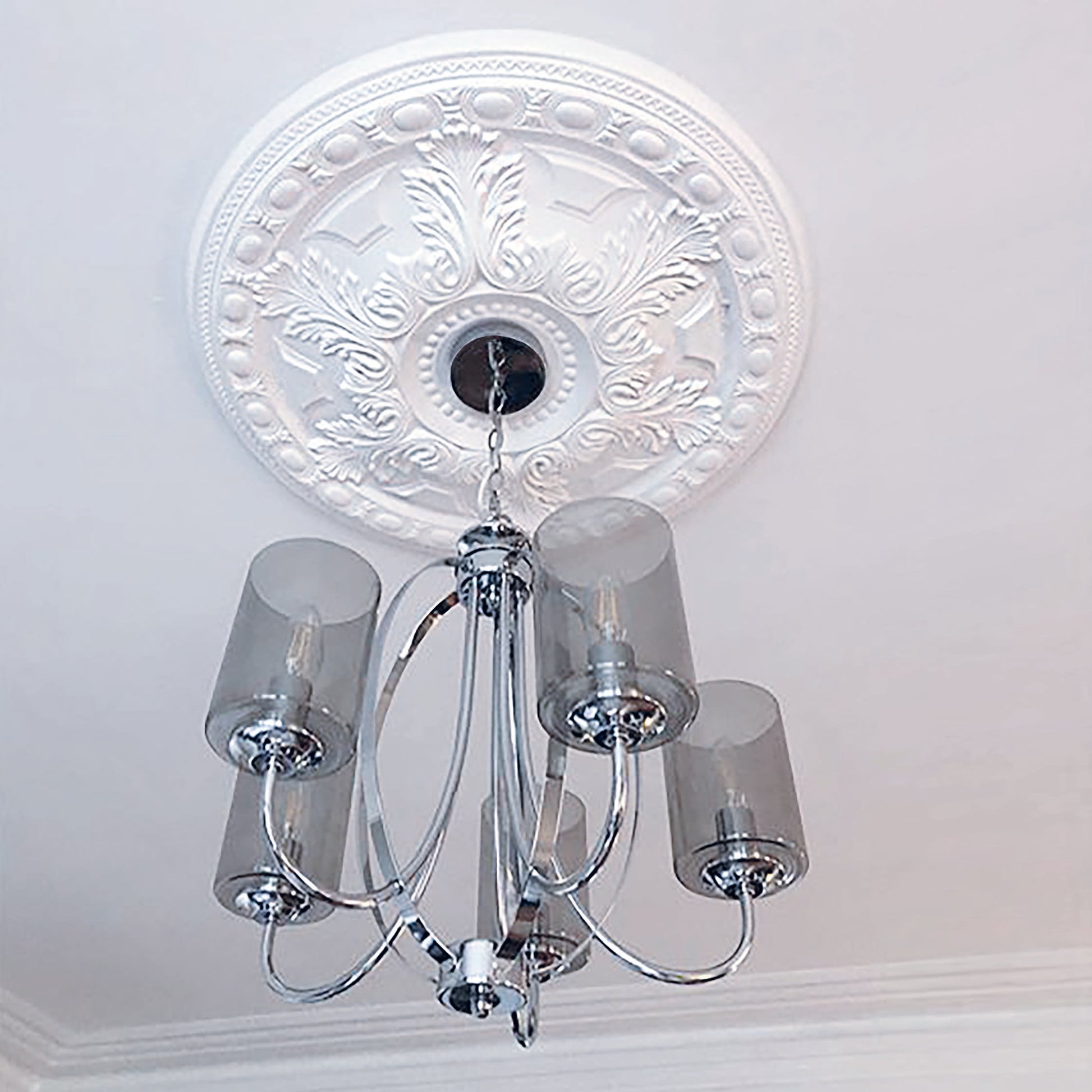 Large Acanthus Leaf Plaster Ceiling Rose in bright lighting