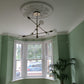 Wild Rose Plaster Ceiling Rose near large window