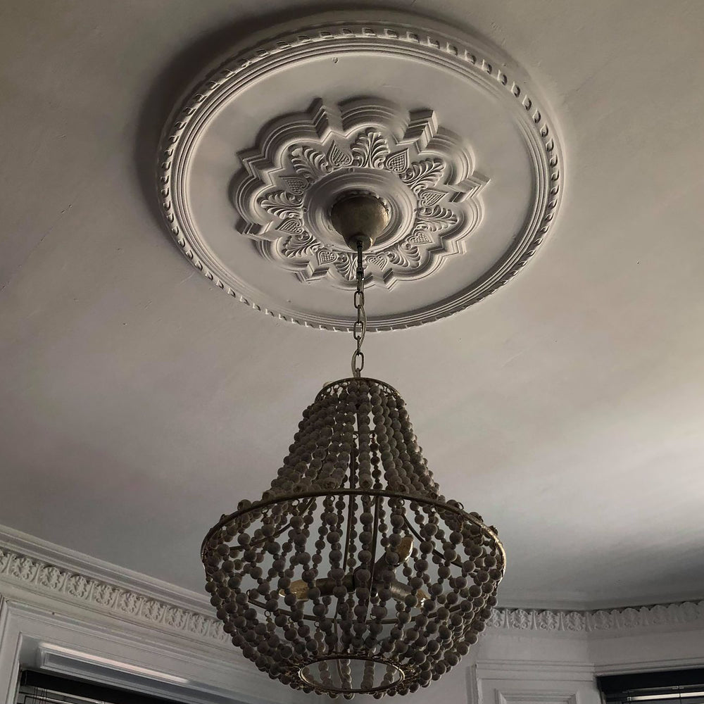 Palmette & Rope Plaster Ceiling Rose in shaded room