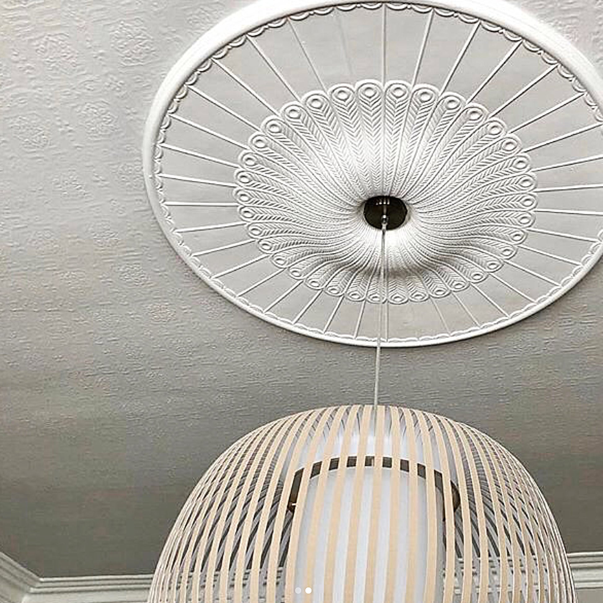 Georgian Plaster Ceiling Rose in natural lighting