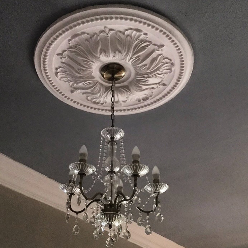 Ornate Floral Plaster Ceiling Rose in dark coloured room