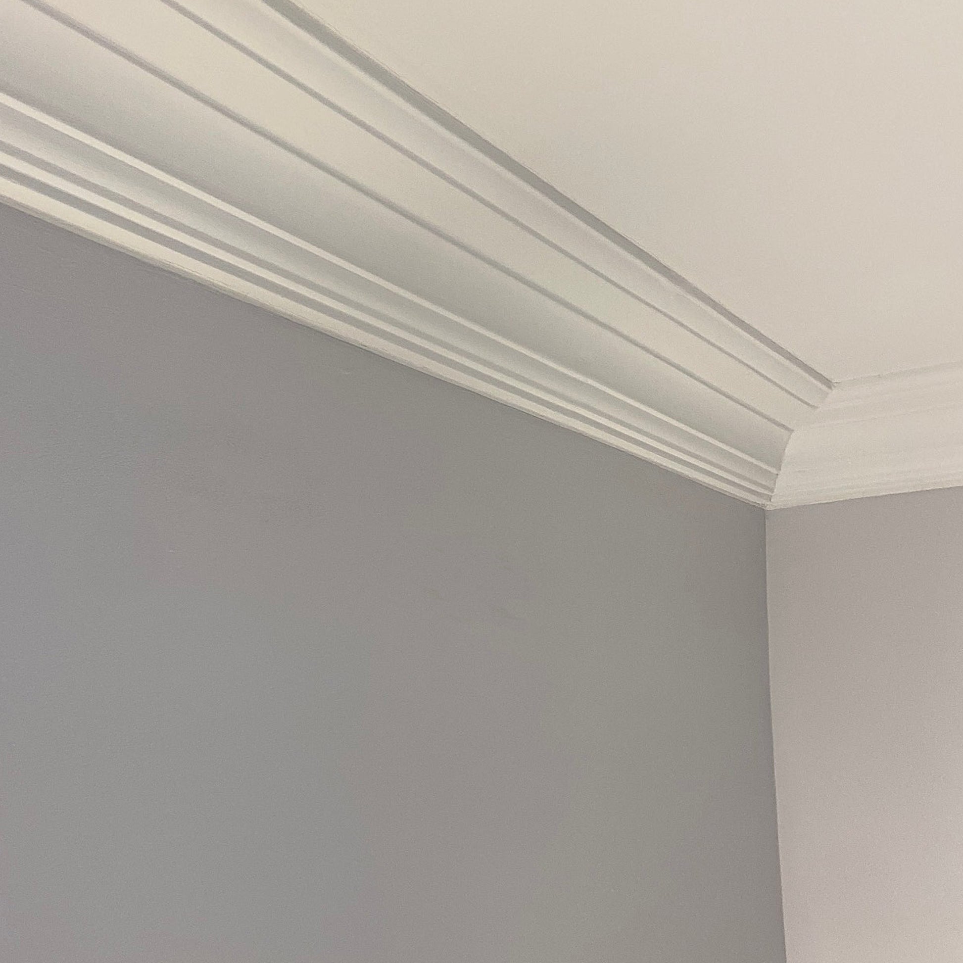 digital image showing aspect of Plaster Coving section 110mm Drop 