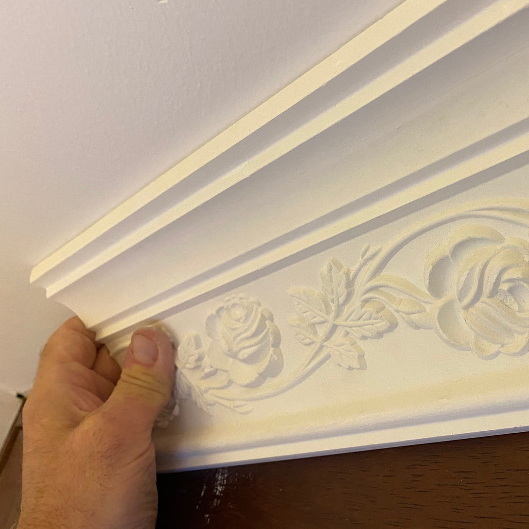 technical photo of wild rose Plaster Coving with hand to show size - 120mm Drop 