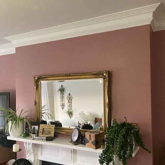 Victorian Coving above fireplace with plants - Drop 120mm 