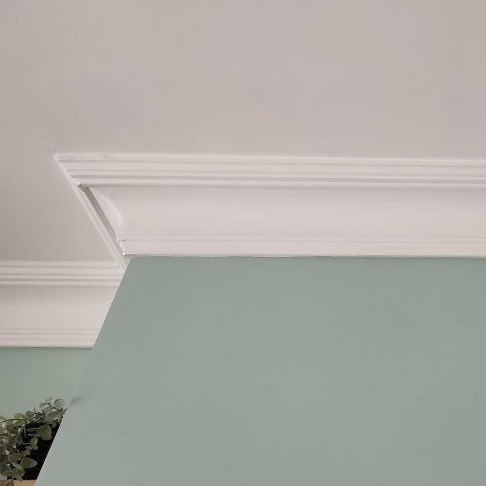 aspect of plaster 140mm coving in mint room