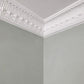 Acanthus and Plain Leaf Plaster Coving Drop 122MM MPC074 - PlasterCeilingRoses.com