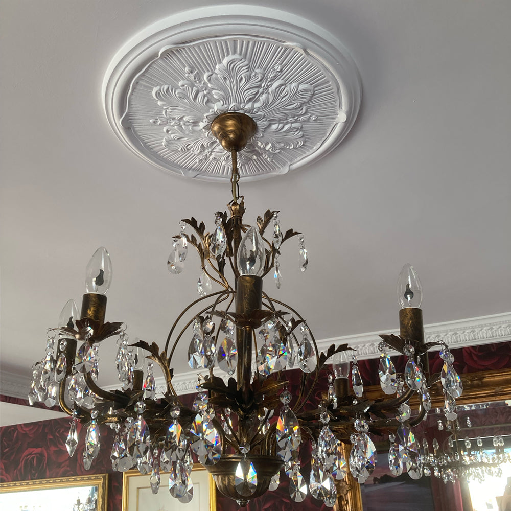 acanthus plaster ceiling rose shown with chandelier 