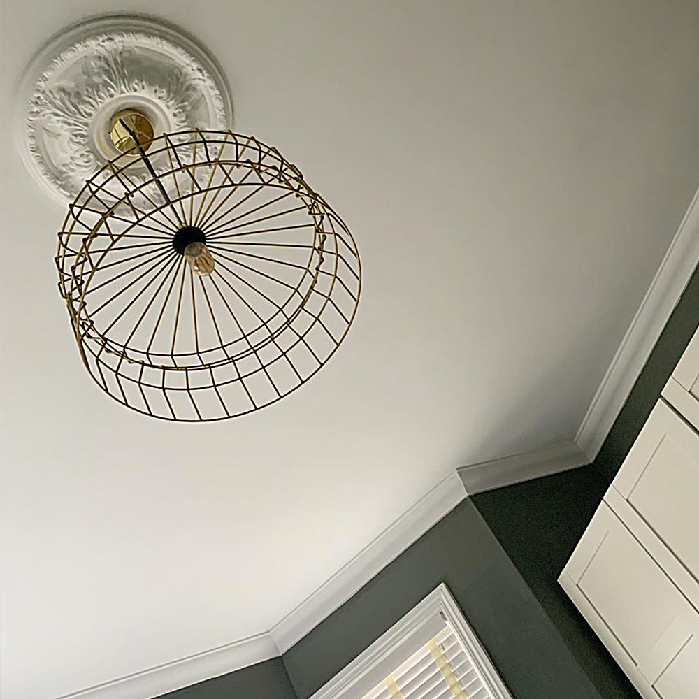 Acanthus & Ovolo Plaster Ceiling Rose shown in green room with gold light shade 500mm dia. 