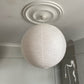 Plain Spun Plaster Ceiling Rose in natural lighting