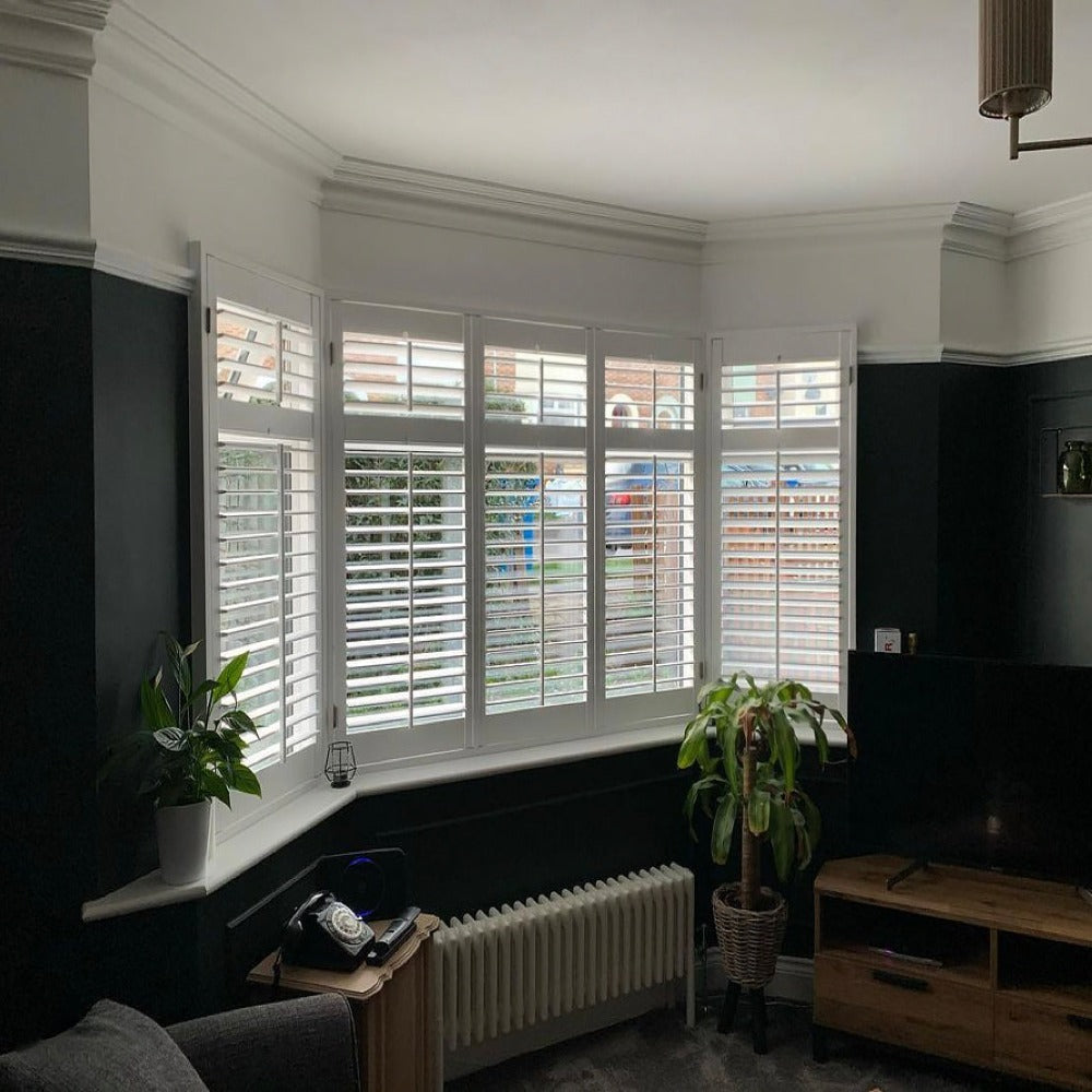 swan neck plaster cornice shown in dark room with shutters - 100mm