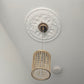 Small Acanthus Rings Plaster Ceiling Rose from beneath