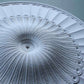 Georgian XL Plaster Ceiling Rose details close-up