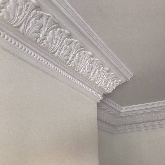 Large Acanthus Leaf cornice in white room