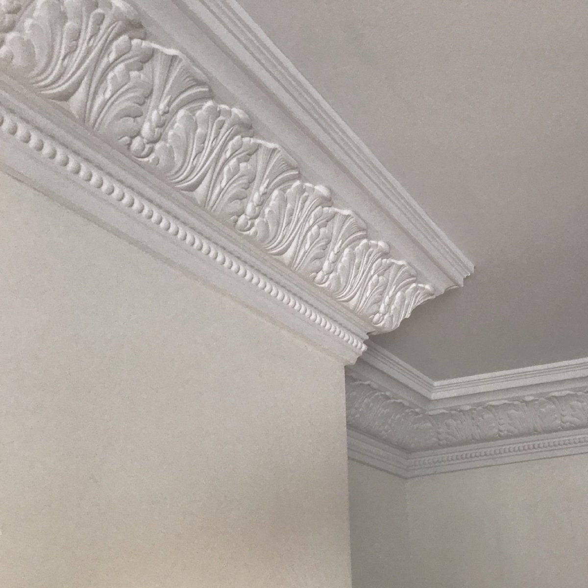 Large Acanthus Leaf Plaster Coving 165mm | Plaster Ceiling Roses